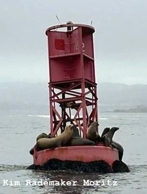 image of buoy near lighthouse as seen from the ocean side