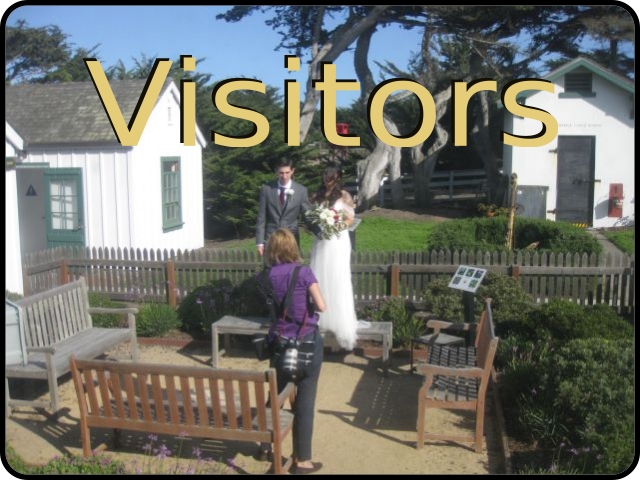 Visitors